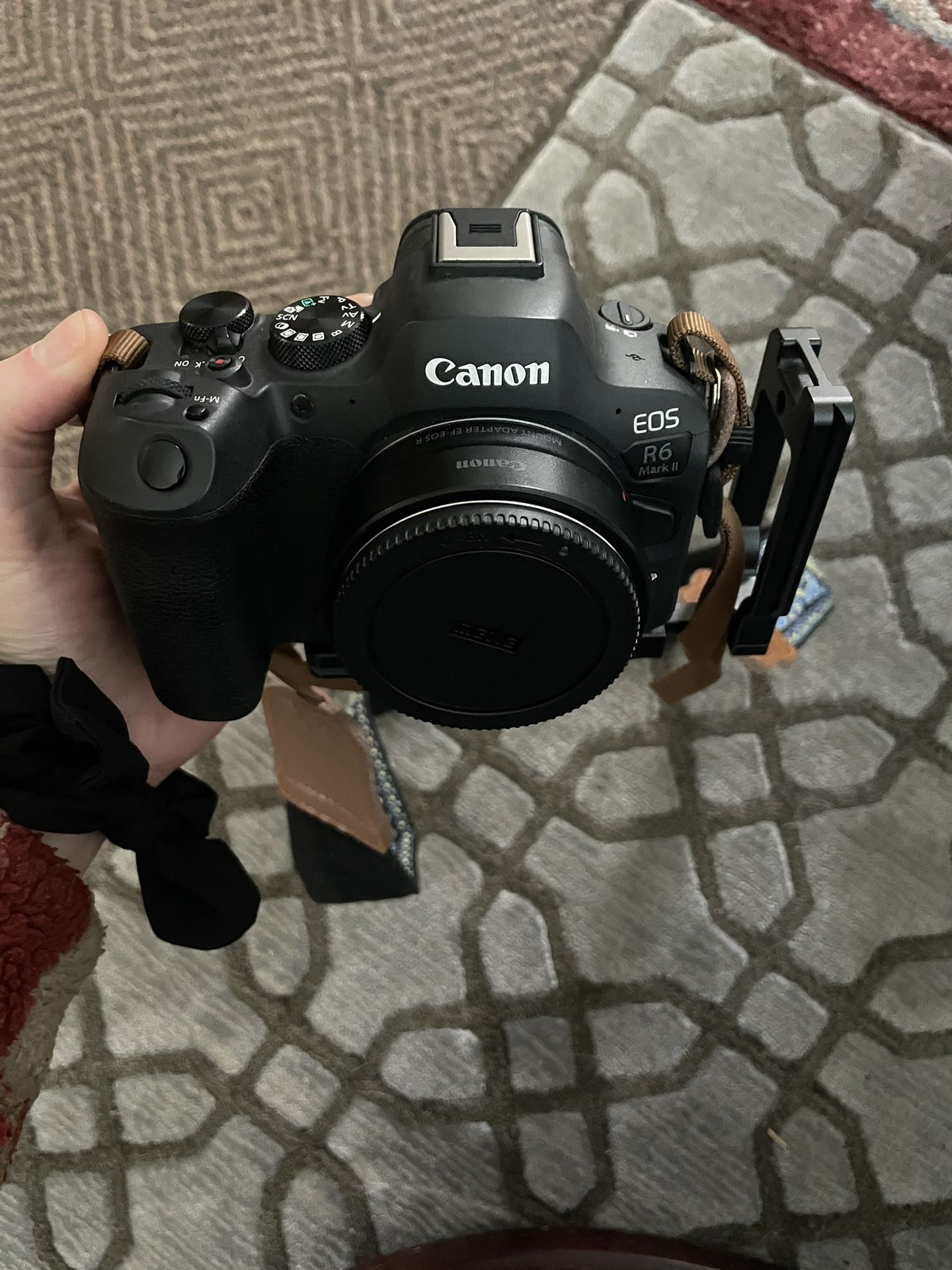 Canon R6 Mark II Body