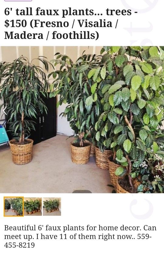 6' Fake Plants. $80