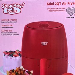 Mini 2 Qt Air Fryer 