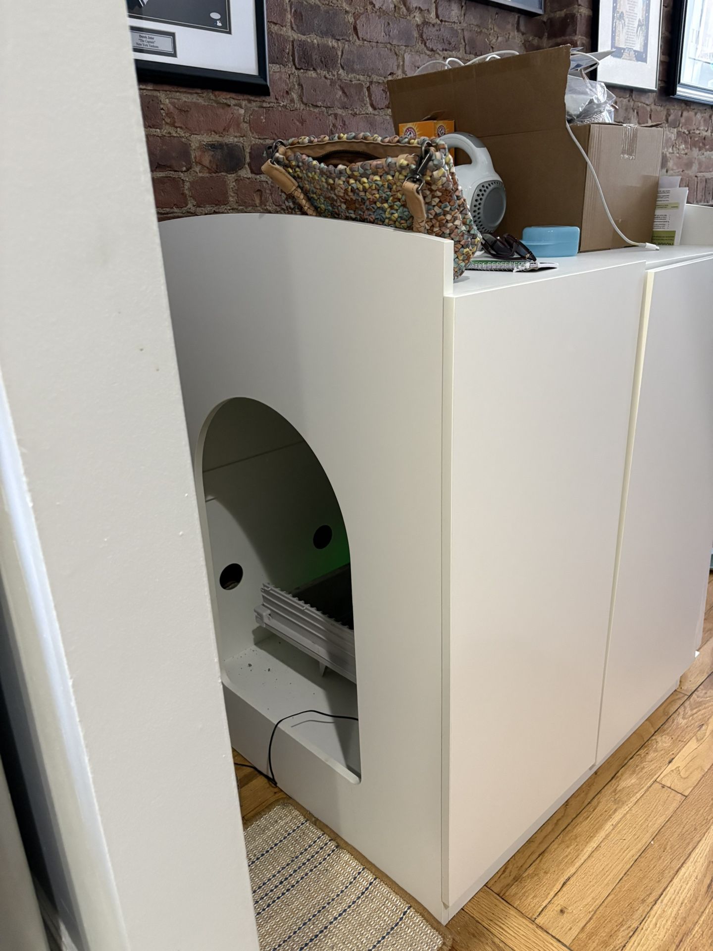 Cat Litter Box Enclosure