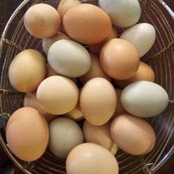 Silkie Eggs / Eggs Mix 