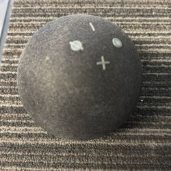 Amazon Speaker