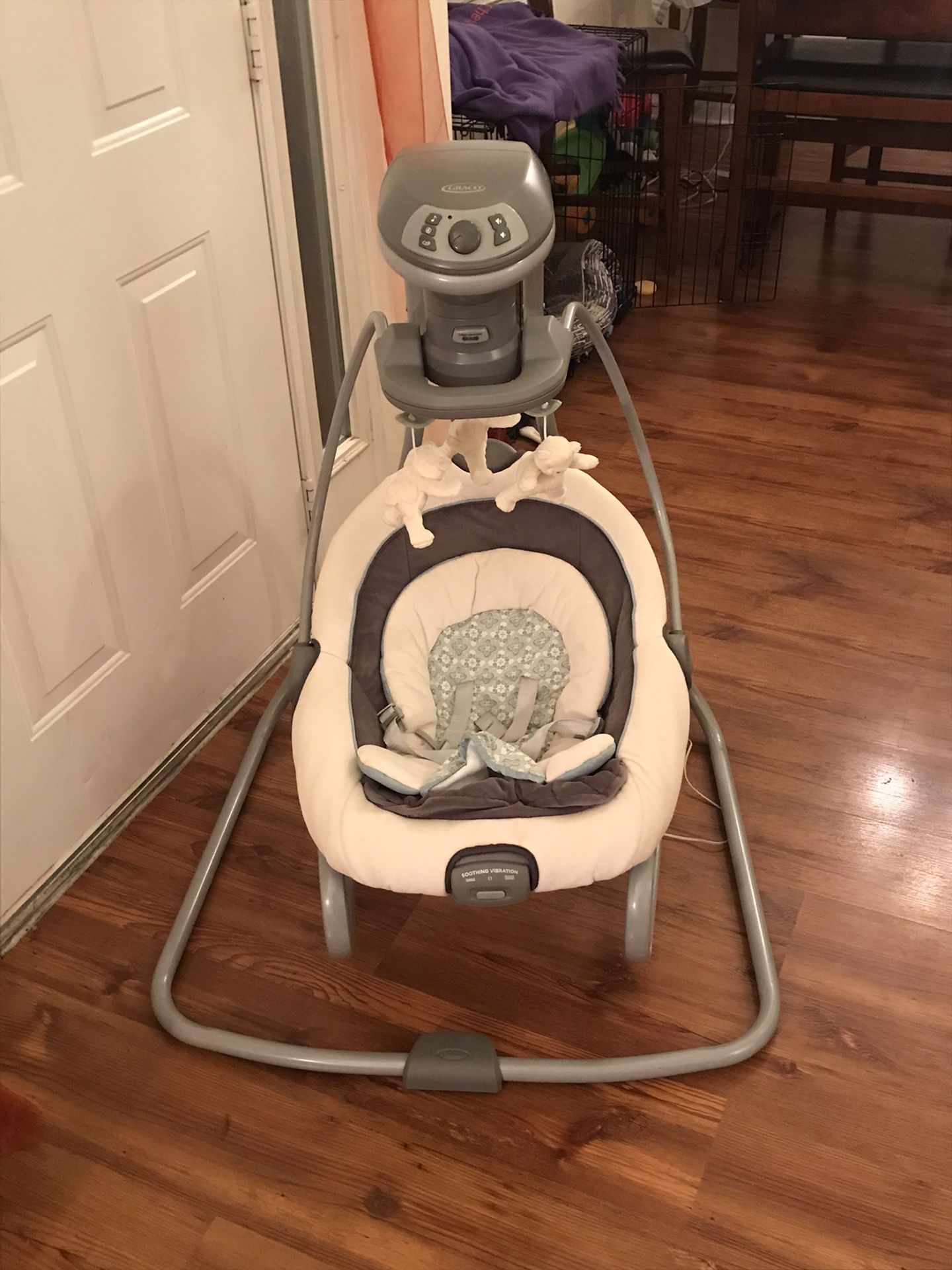 Graco DuetSoothe Swing and Rocker