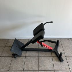 Back Extension Machine