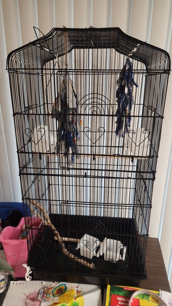 Medium Size Bird Cage