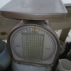 Kitchen Scale