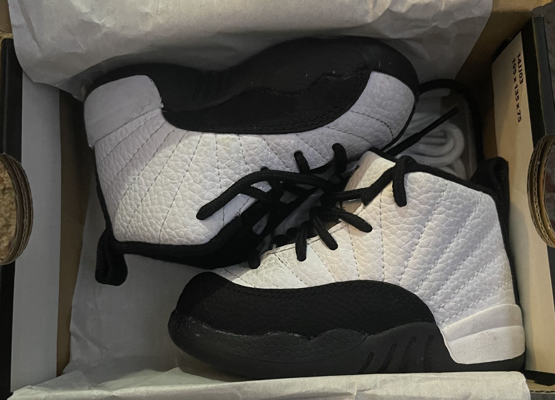 5c Jordan 12 Retro