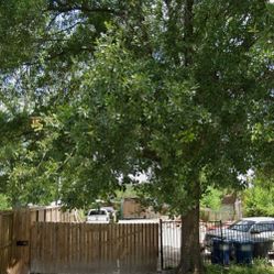 Terreno 50 ‘ X 175’  North East Houston 