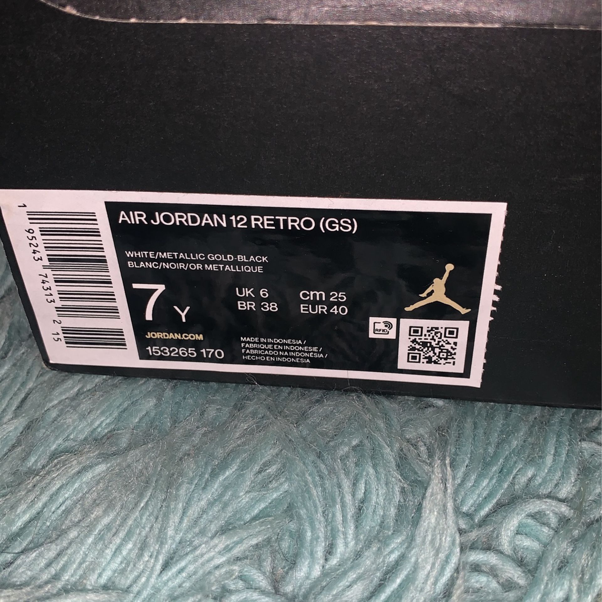 Jordan 12’s ( GS)