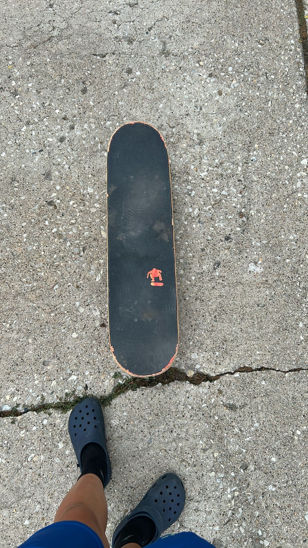 All Built Custom Skateboard