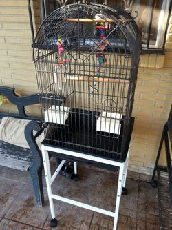 Cage