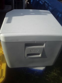 Igloo 40 Qt Electric Cooler. 