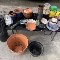 Plant/Garden Stuff