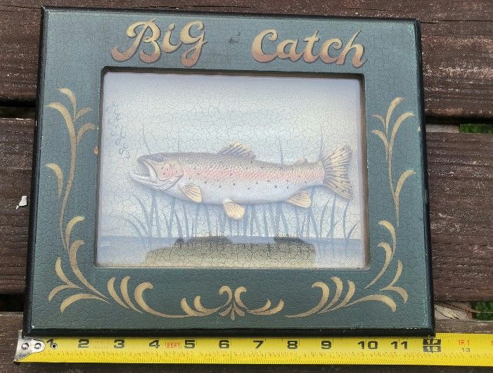 Framed Rainbow Trout.