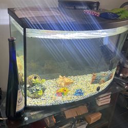 2x1 Fish Tank With Filter 
