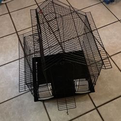 Bird Cage 