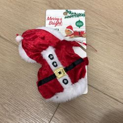 Bearded Dragon Santa Outfit New Never Used