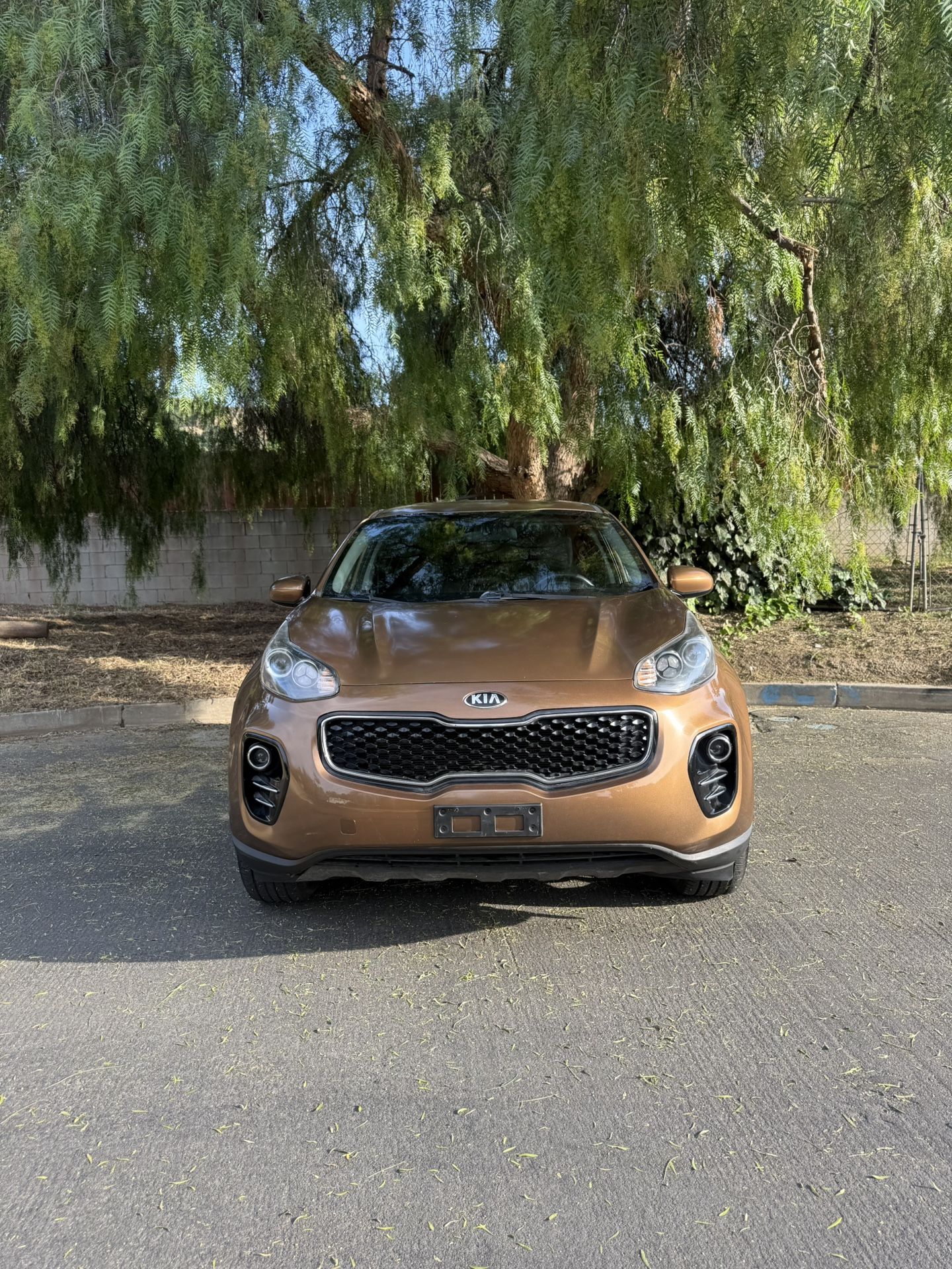 2017 KIA Sportage