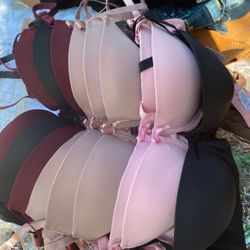 Women’s Bra