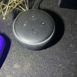  Alexa 