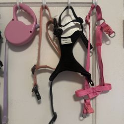 Dog Collars And Leash 
