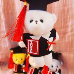 2026 Graduation Teddy Keychain 🎓🧸