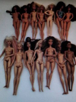 Blind Box Of Barbie Dolls Accessories  More