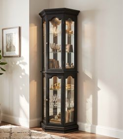 Refinished Black Corner Curio Cabinet | Lighted Glass Display- delivery available