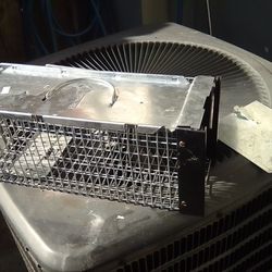 Havahart Medium Metal Trap
