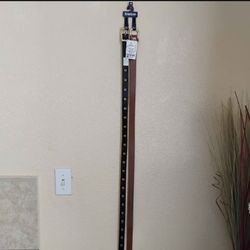 Bebe Belts –(Black Studded & Brown)