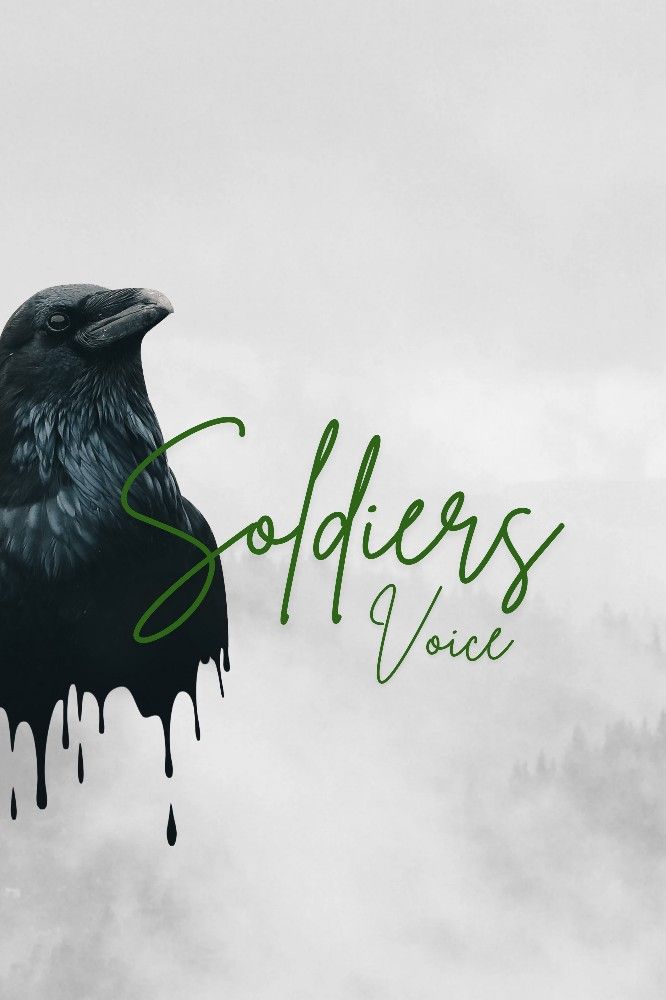 Soldiers Voice Book 