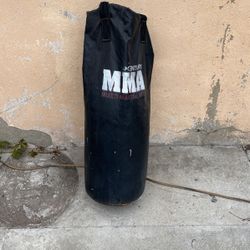 Punching Bag 