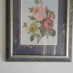 Pictures