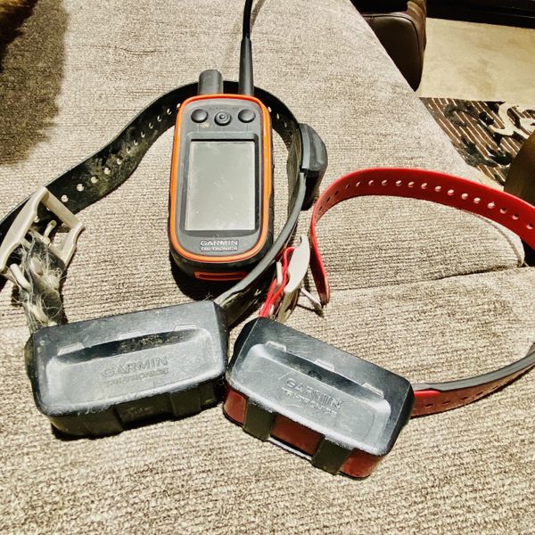 garmin alpha track and train system