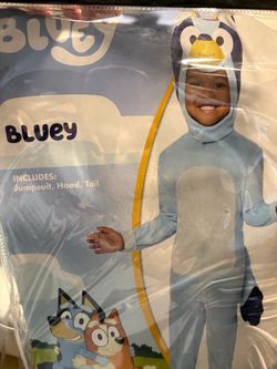 Bluey costume