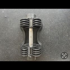 Adjustable Dumbbells 