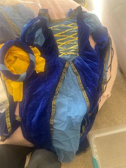 Girls size large medieval costume