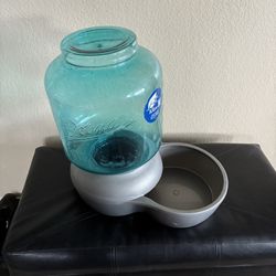 Dog Water Bowl