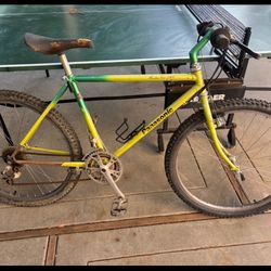 Rare Panasonic Mountain Bike Medium Size