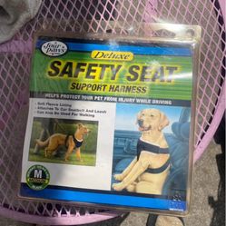 Safety For Your Dog