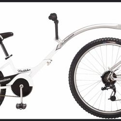 Schwinn hitchhiker 20 inch