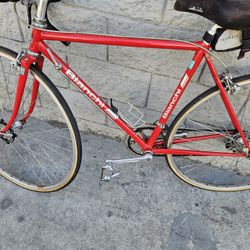 Bianchi 50cm Italian 