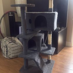 Cat Tower