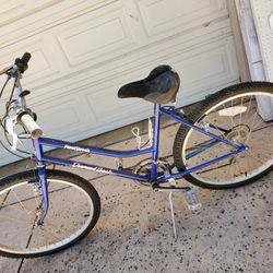 Diamond back lady's bike.