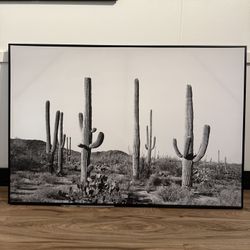 Large Canvas
