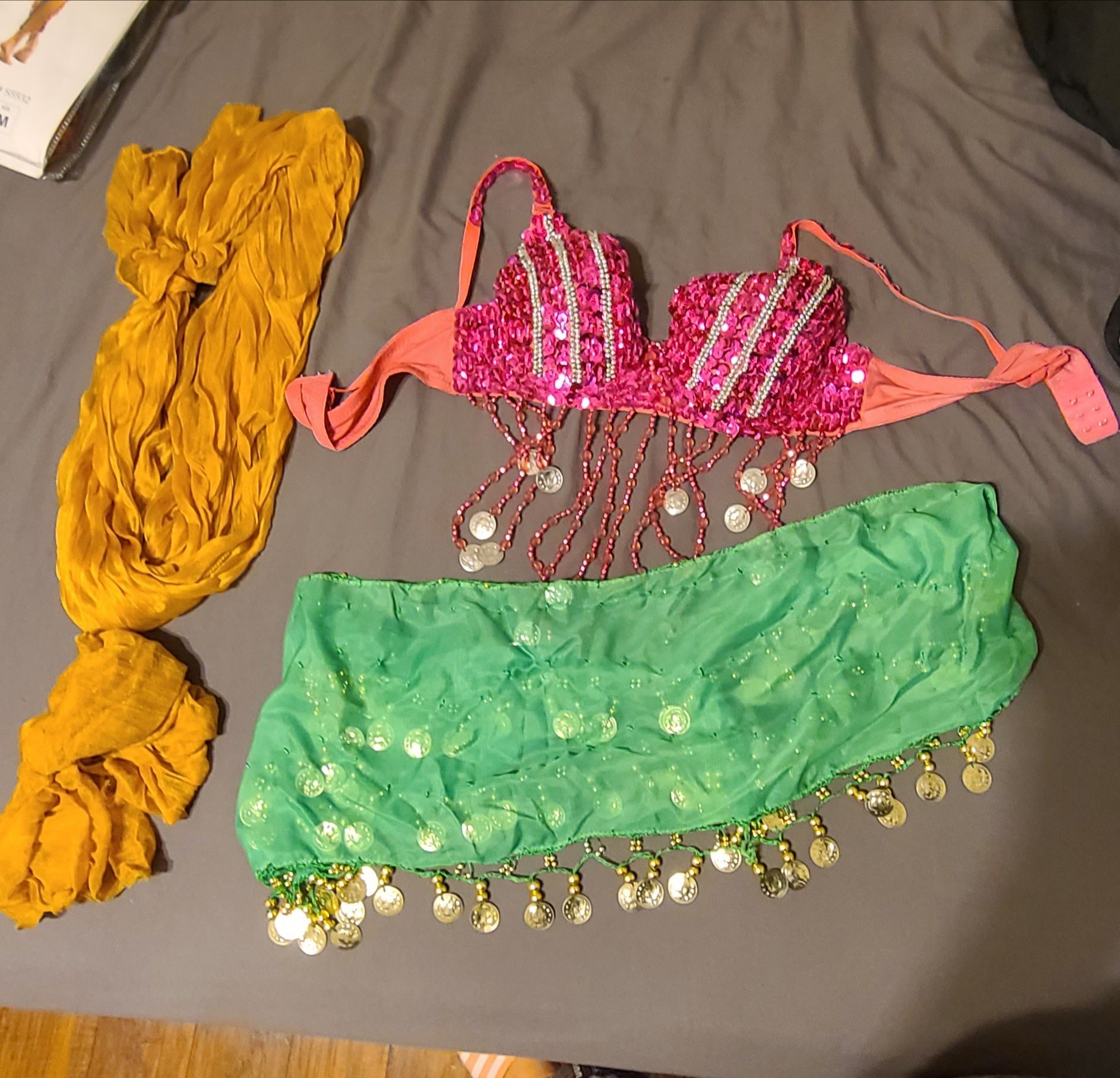 Woman's Halloween Gypsy costume