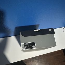 Jordan 11 Gratitudes 