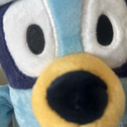 Bluey Doll 