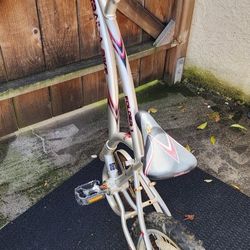 Kids Trailer Bike 