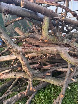 Wood Branches/logs